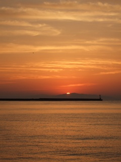 a0117860_19381731.jpg