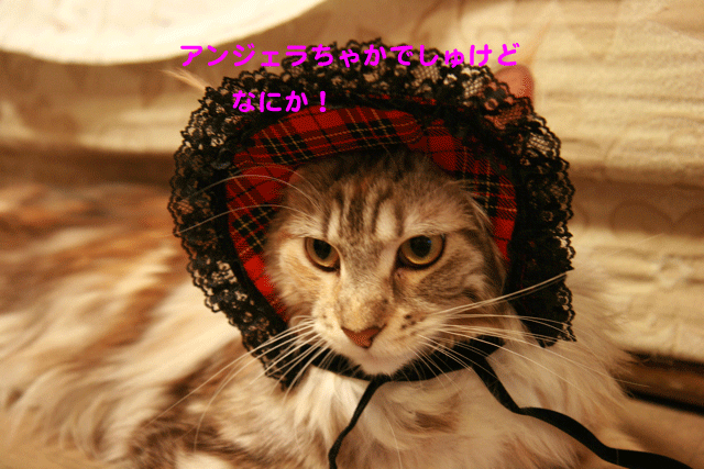 e0158561_223945.gif