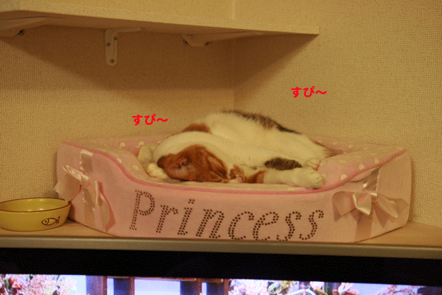 e0158561_22462923.gif