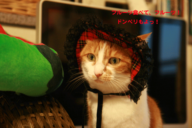 e0158561_2301731.gif