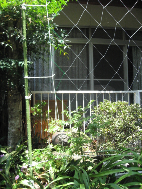 b0107965_2358278.jpg