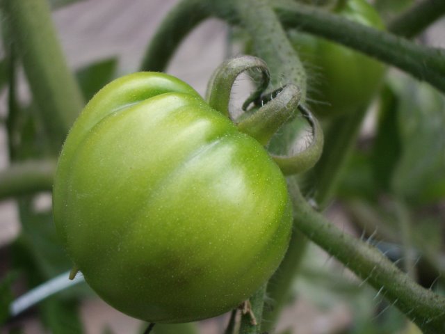 b0183670_7134492.jpg