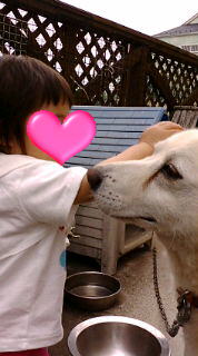 ポポちゃん、しあわせ便り♪_c0167175_22162474.jpg