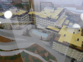2009年6月12日 マドンナ作戦_b0098584_18491080.jpg