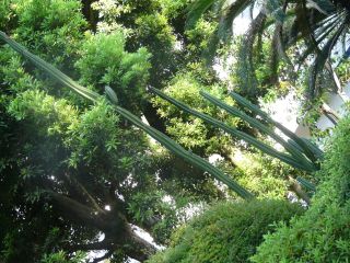 2009年6月12日 マドンナ作戦_b0098584_18492920.jpg