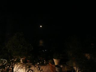 2009年6月12日 マドンナ作戦_b0098584_18503599.jpg