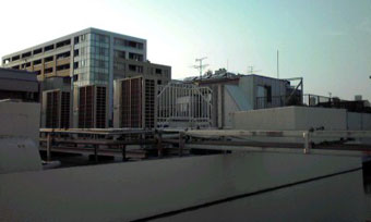 c0086185_7335831.jpg