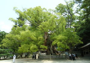 f0008692_8572154.jpg
