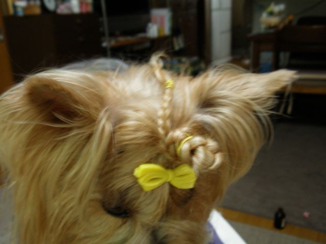 f0130894_21143416.jpg
