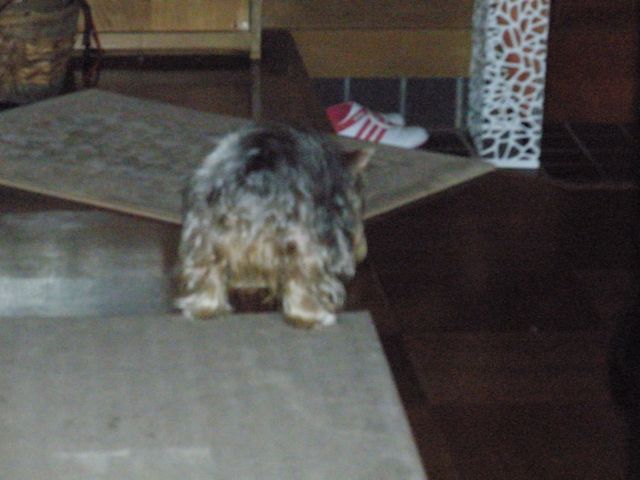 f0130894_21172437.jpg