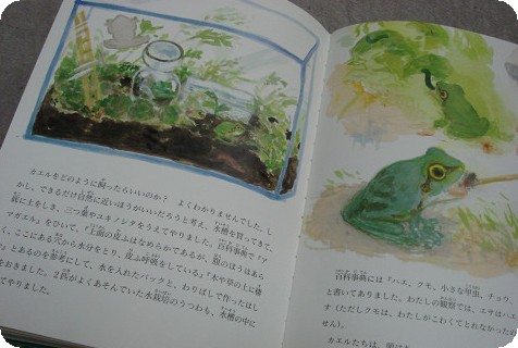 カエルの飼育にちょっと本気 かりふらわの日記