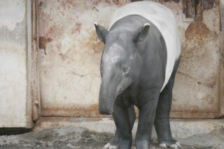 動物園遠足_e0051200_1659486.jpg