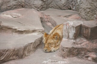 動物園遠足_e0051200_170124.jpg