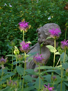 a0123003_1624555.jpg