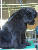 e0005603_15142462.jpg