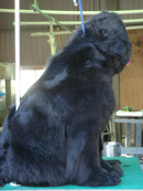 e0005603_1514824.jpg