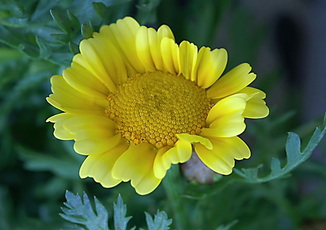 e0039703_17175068.jpg
