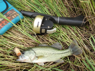 c0023804_9213567.jpg