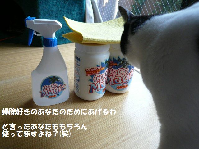 e0094407_1624771.jpg