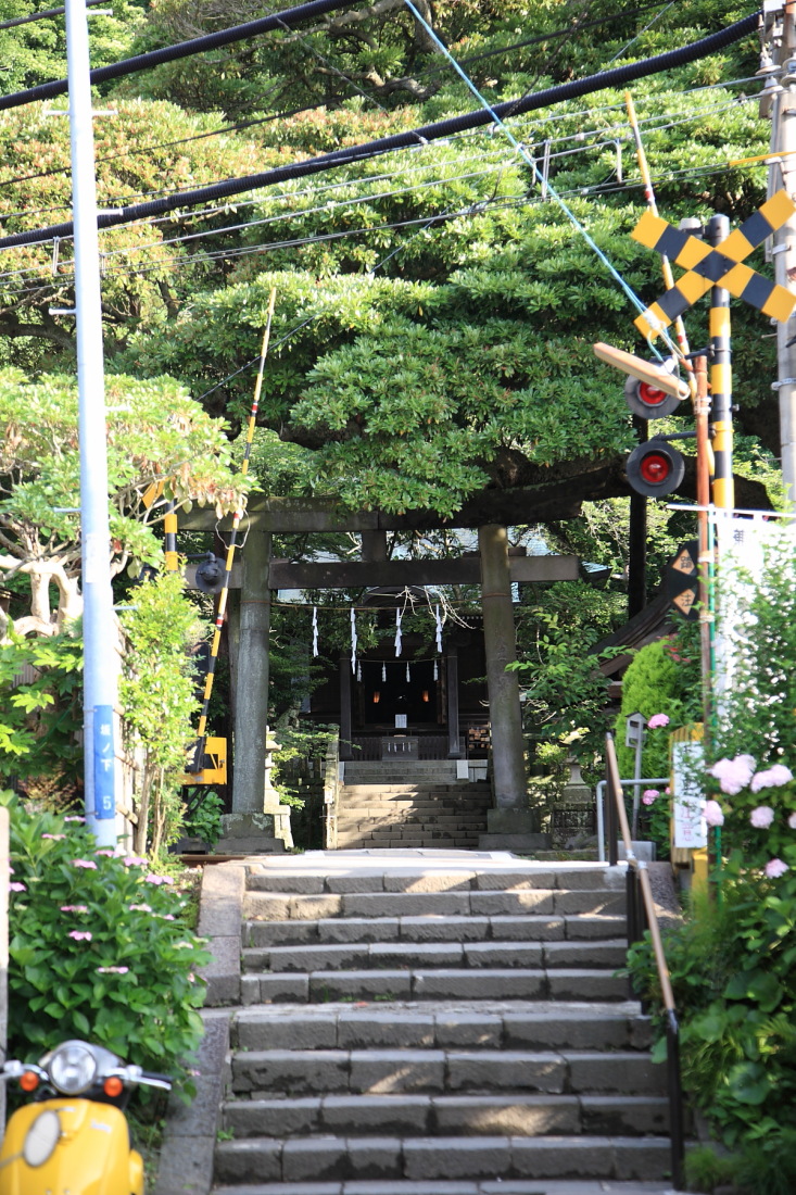 御霊神社_f0157812_1033343.jpg