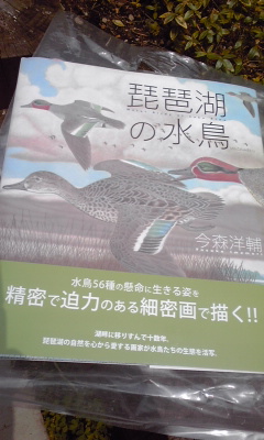 c0160822_12251923.jpg