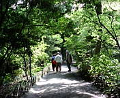f0195131_082473.jpg