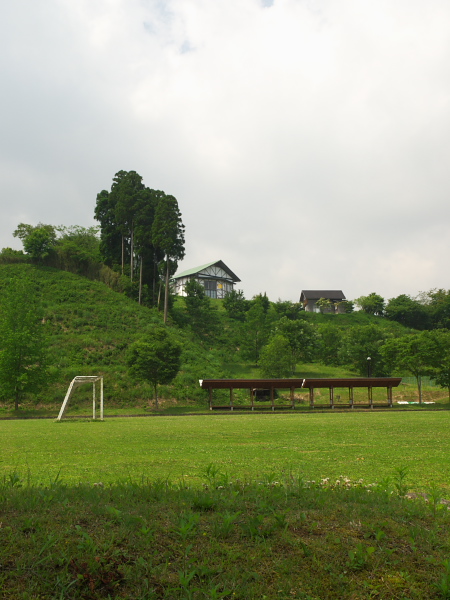 d0125535_17148.jpg