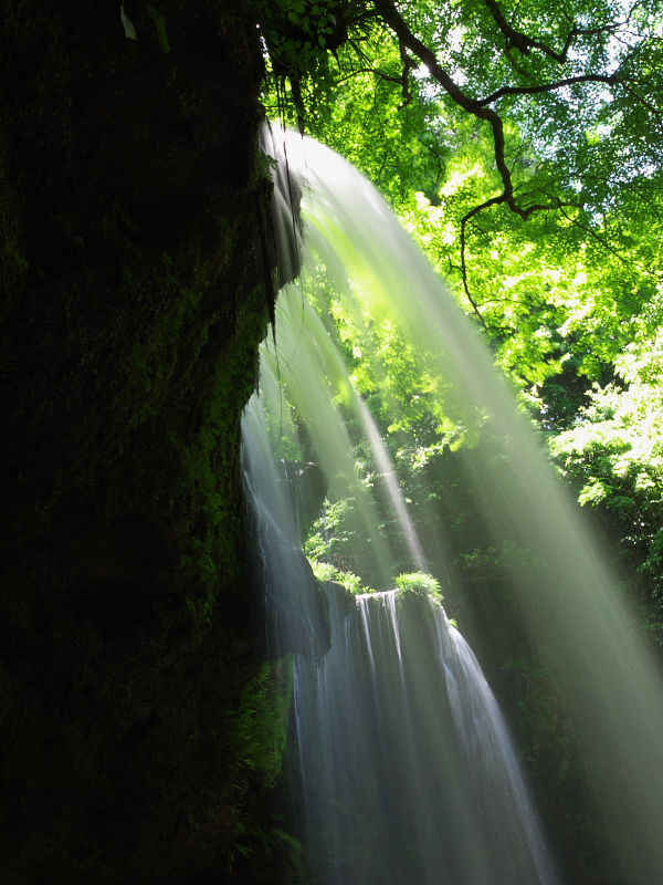 鍋ヶ滝から満願寺、内牧温泉へ_d0125535_2085723.jpg