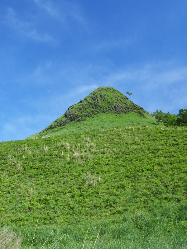 d0125535_21313998.jpg