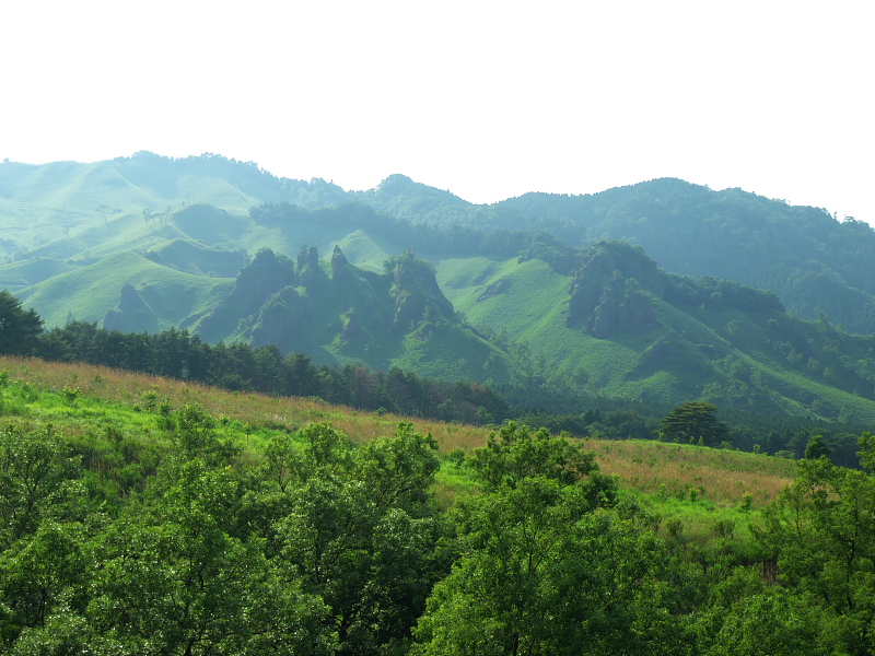 d0125535_21331438.jpg