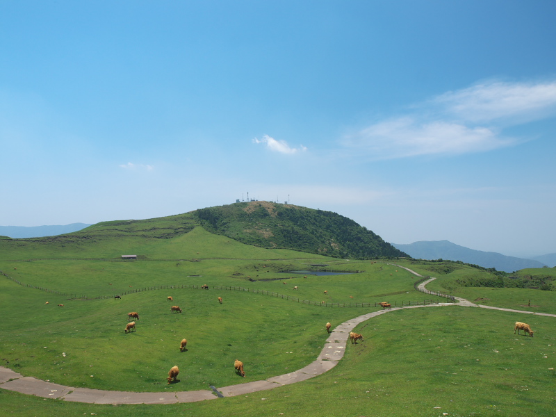 d0125535_2155768.jpg