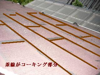 屋根の雨漏りコーキング_f0031037_1985691.jpg