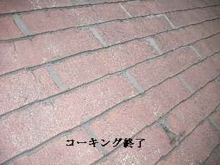屋根の雨漏りコーキング_f0031037_1991885.jpg