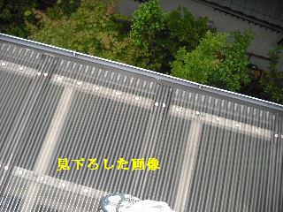 屋根の雨漏りコーキング_f0031037_1992864.jpg