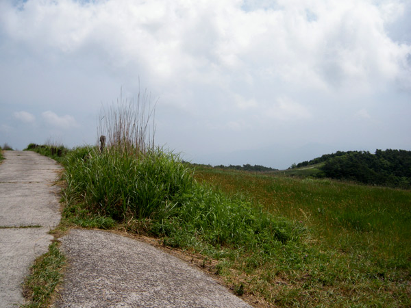 c0047341_23394067.jpg