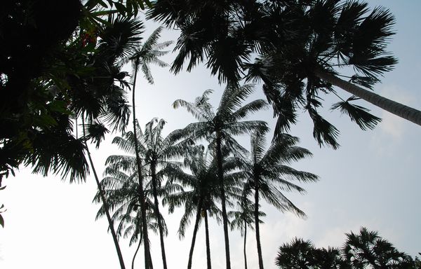 e0098241_169674.jpg