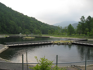 f0065341_0453399.jpg
