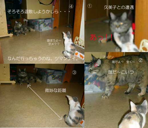 猫は苦手なの?? _a0126743_22483975.jpg