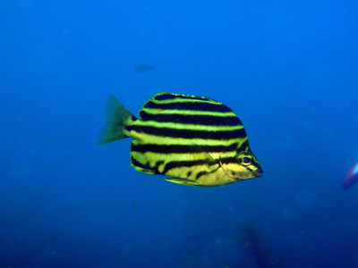 d0058549_18574946.jpg