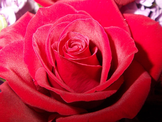 a0123950_13433656.jpg