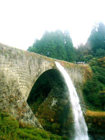 d0054855_19321.jpg