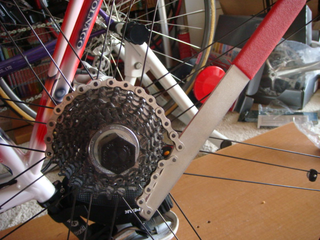 c0105957_1546953.jpg