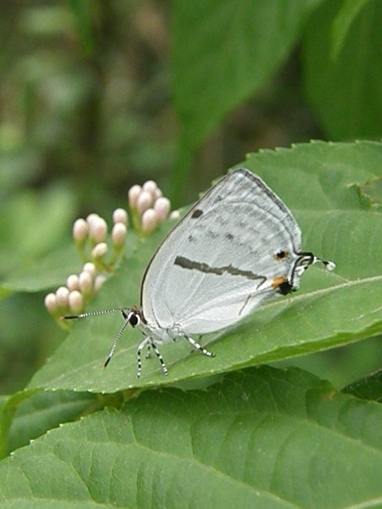 e0064158_22474714.jpg