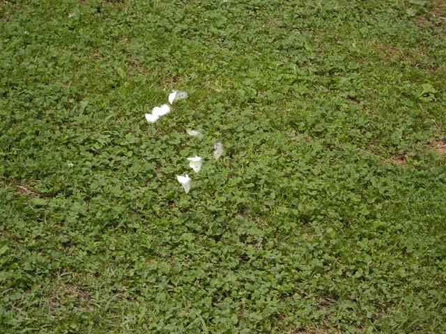 d0116059_14464972.jpg