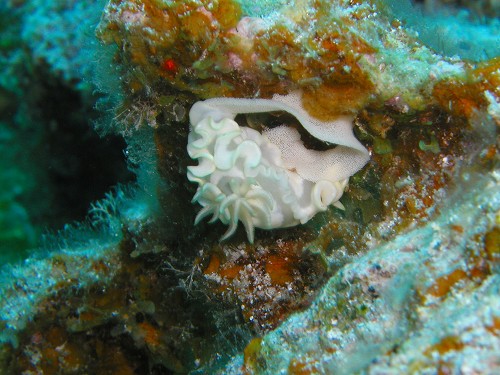 c0180460_825715.jpg