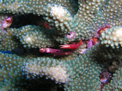 c0180460_844186.jpg
