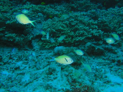 c0180460_862027.jpg
