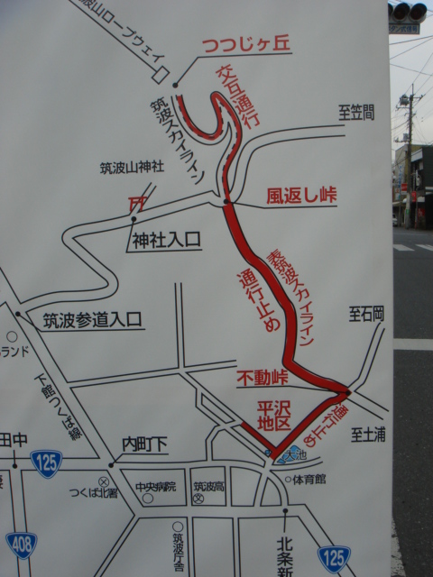 平沢官衙遺跡とあやめ_b0124462_18193344.jpg