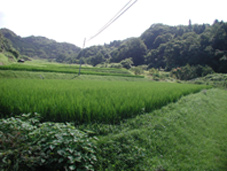 c0181062_118577.jpg