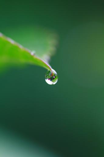 雨の置き土産_b0146276_86994.jpg